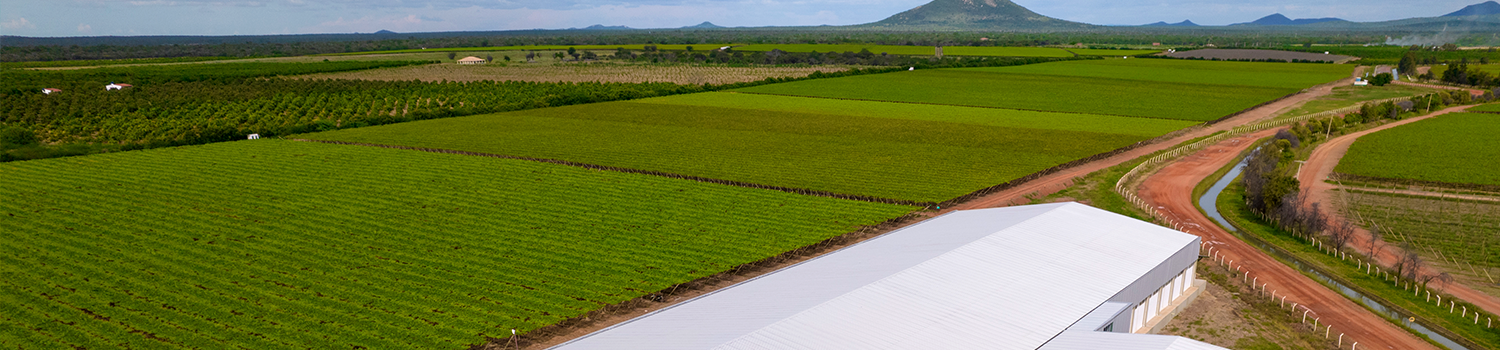 farm-edit-1