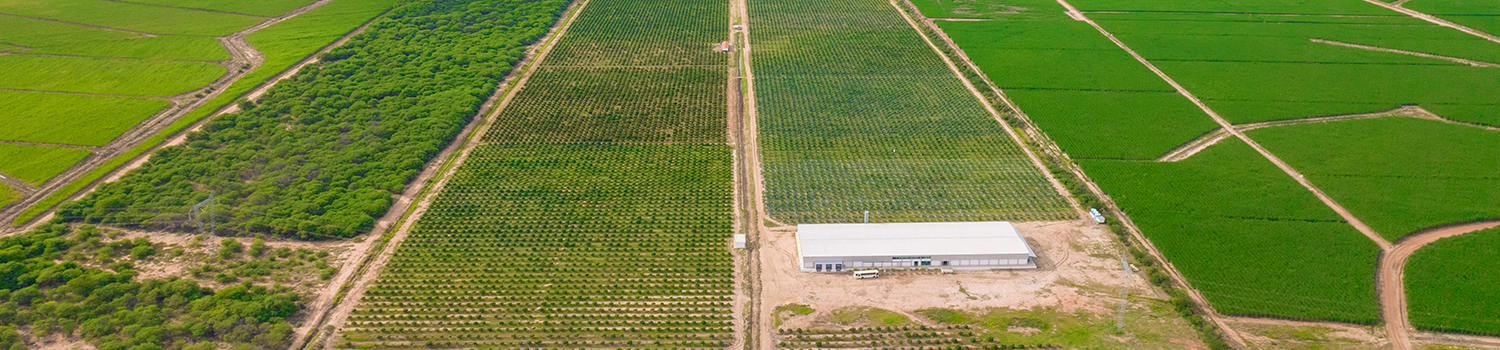 farm-edit-2